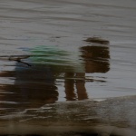 Cantábrico